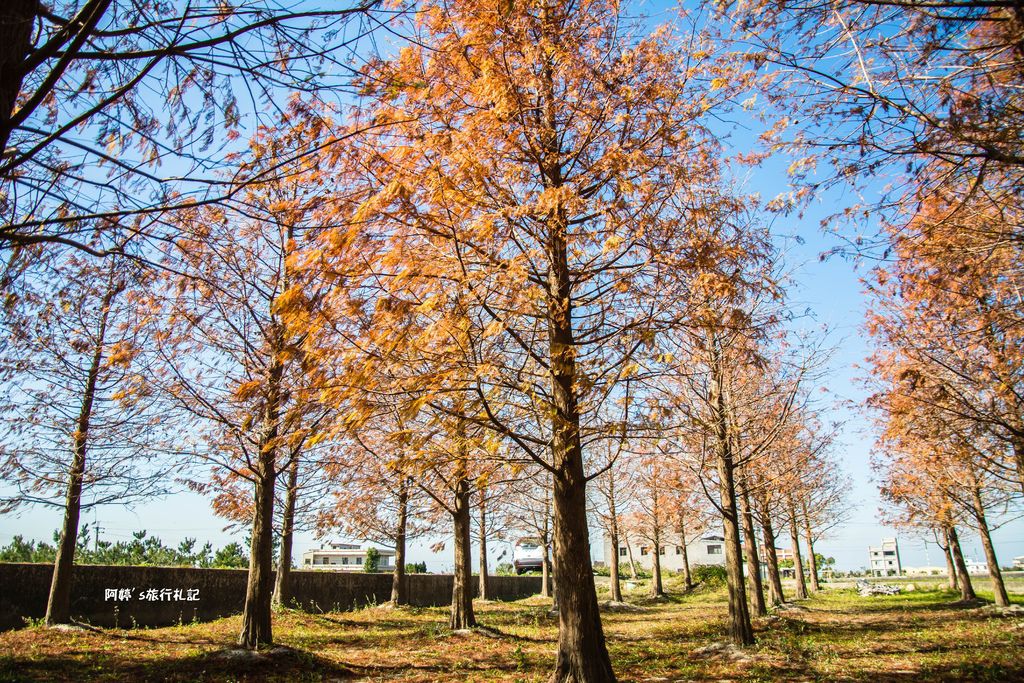 DSC_0534.jpg DSC_0534.jpg