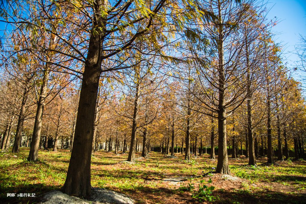 DSC_0527.jpg DSC_0527.jpg