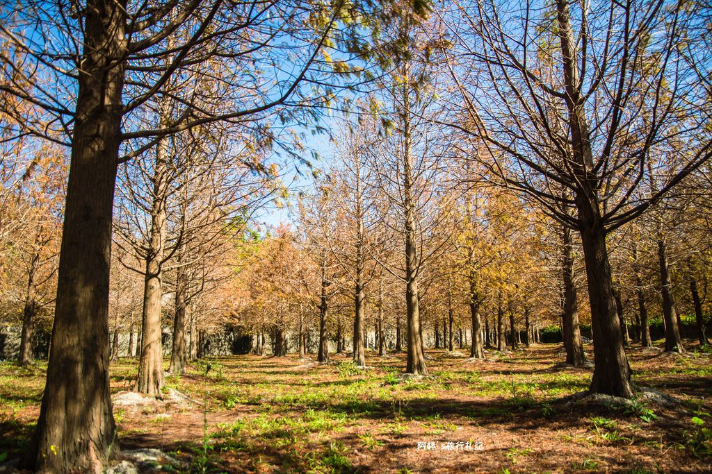 DSC_0520.jpg DSC_0520.jpg