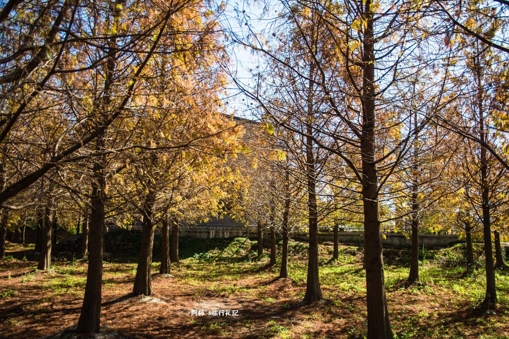 DSC_0530.jpg DSC_0530.jpg