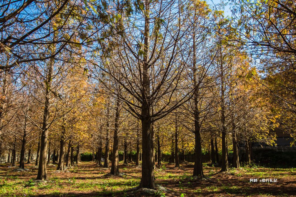 DSC_0517.jpg DSC_0517.jpg