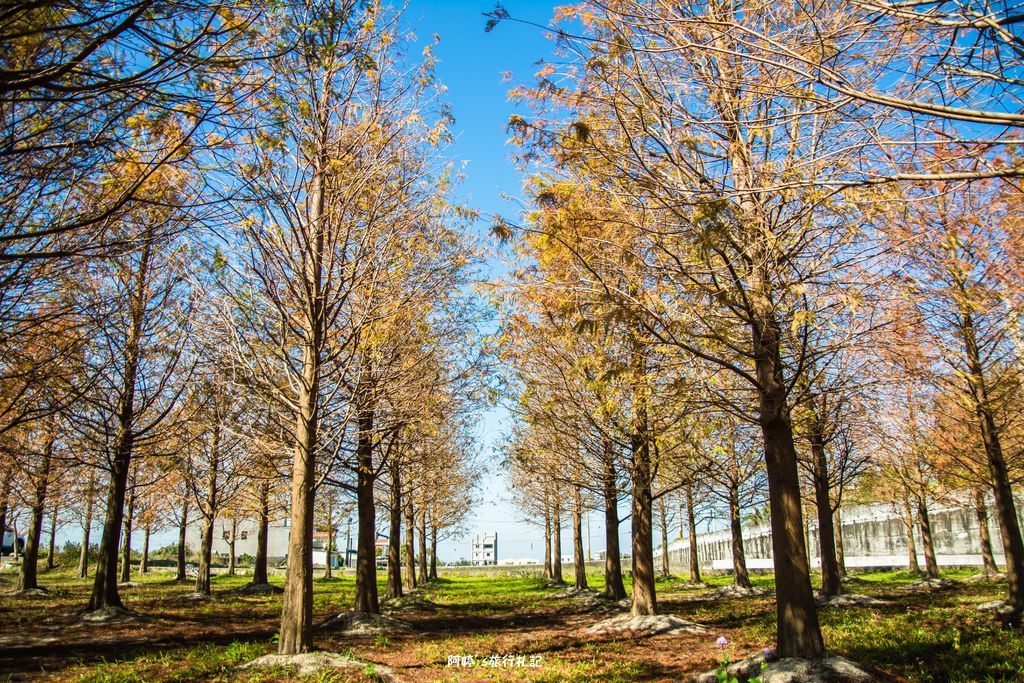 DSC_0521.jpg DSC_0521.jpg