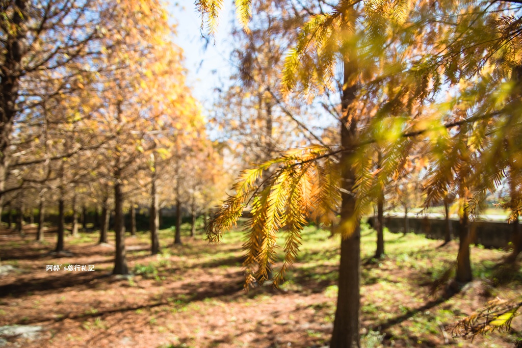 DSC_0536.jpg DSC_0536.jpg