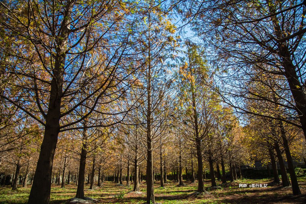 DSC_0516.jpg DSC_0516.jpg