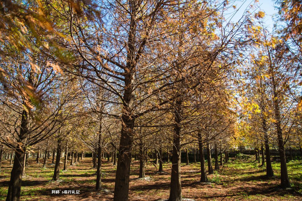 DSC_0539.jpg DSC_0539.jpg