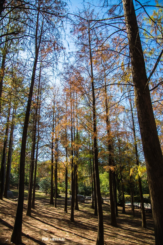 DSC_0565.jpg DSC_0565.jpg