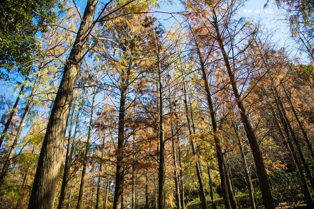 DSC_0548.jpg DSC_0548.jpg