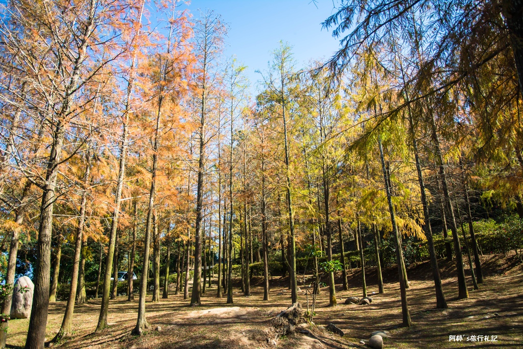 DSC_0583.jpg DSC_0583.jpg