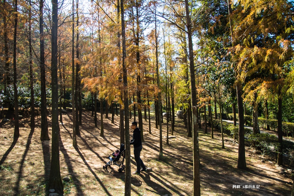 DSC_0571.jpg DSC_0571.jpg