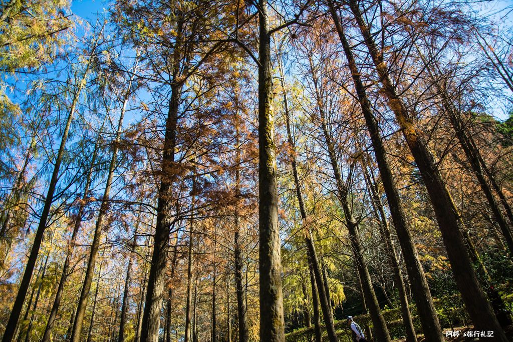 DSC_0553.jpg DSC_0553.jpg