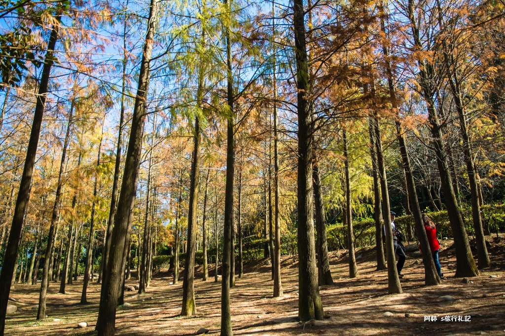 DSC_0551.jpg DSC_0551.jpg