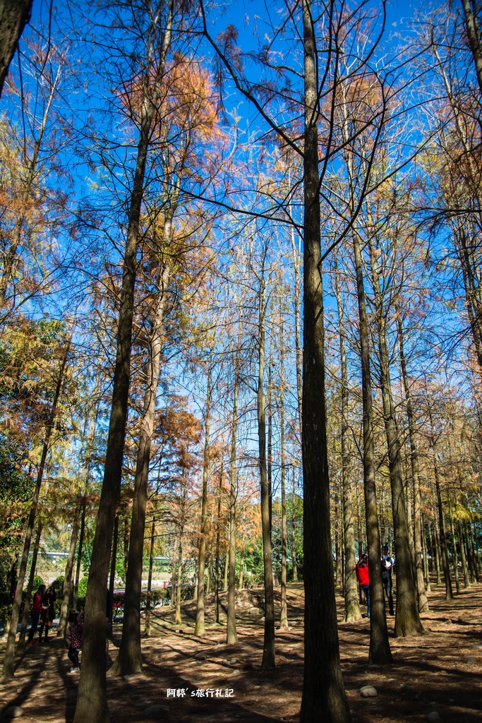 DSC_0545.jpg DSC_0545.jpg