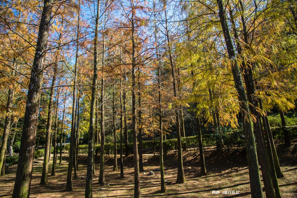 DSC_0570.jpg DSC_0570.jpg