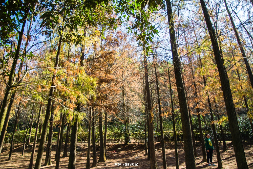 DSC_0581.jpg DSC_0581.jpg