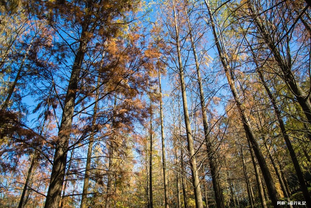 DSC_0576.jpg DSC_0576.jpg