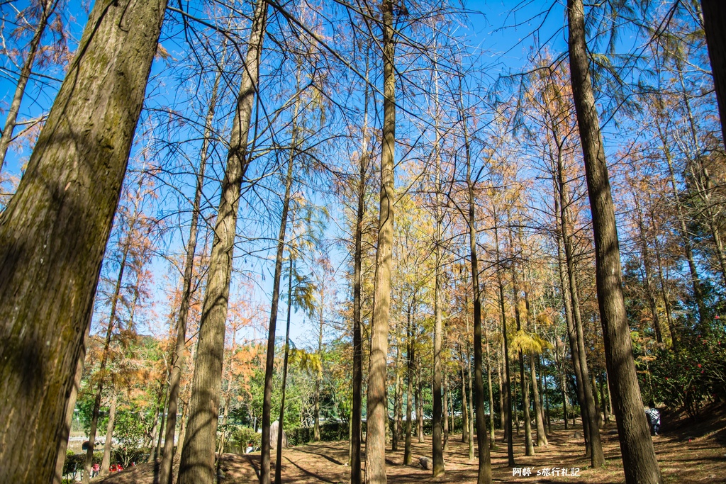 DSC_0563.jpg DSC_0563.jpg