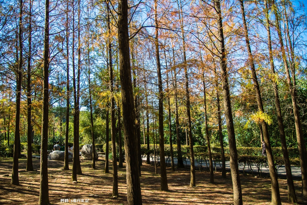 DSC_0560.jpg DSC_0560.jpg