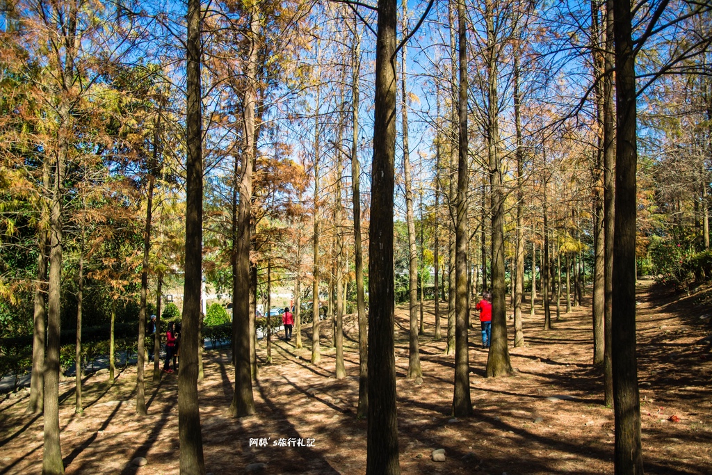 DSC_0546.jpg DSC_0546.jpg