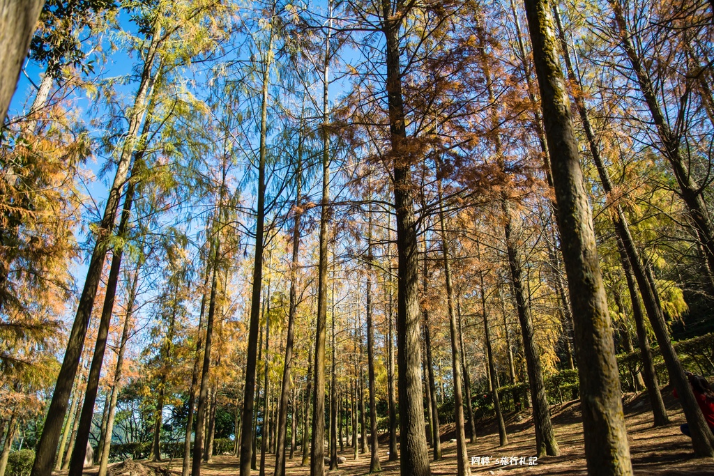 DSC_0552.jpg DSC_0552.jpg