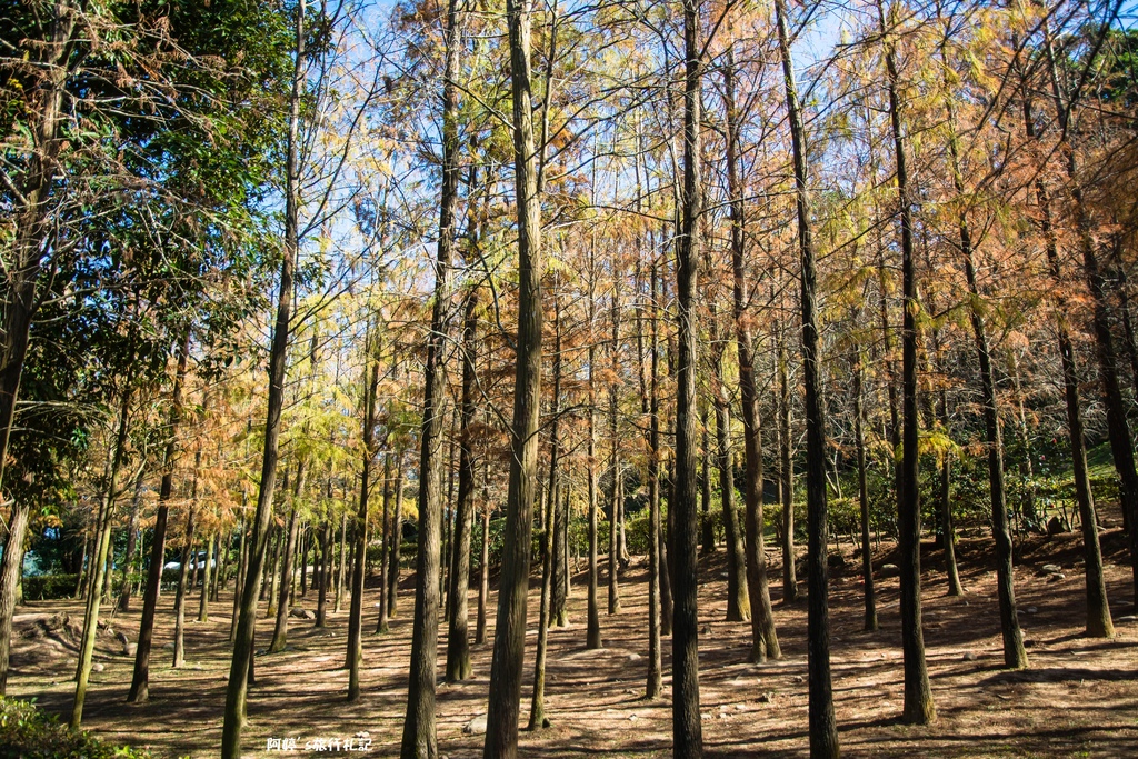 DSC_0580.jpg DSC_0580.jpg