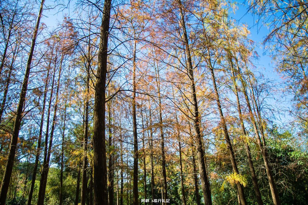 DSC_0561.jpg DSC_0561.jpg