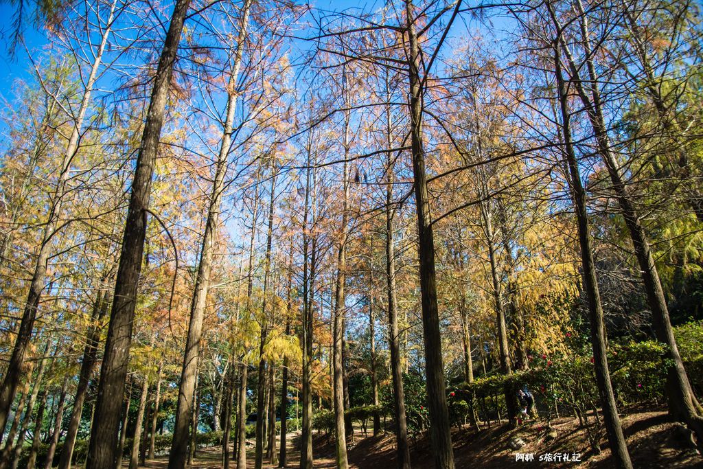 DSC_0567.jpg DSC_0567.jpg