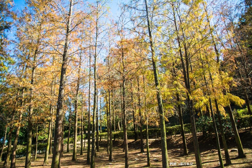 DSC_0572.jpg DSC_0572.jpg