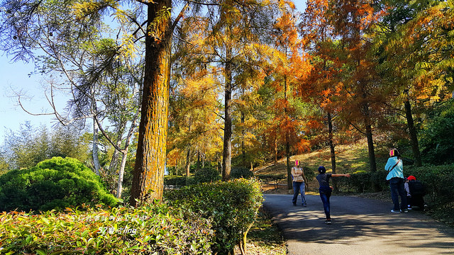 20171224_120853 - 複製