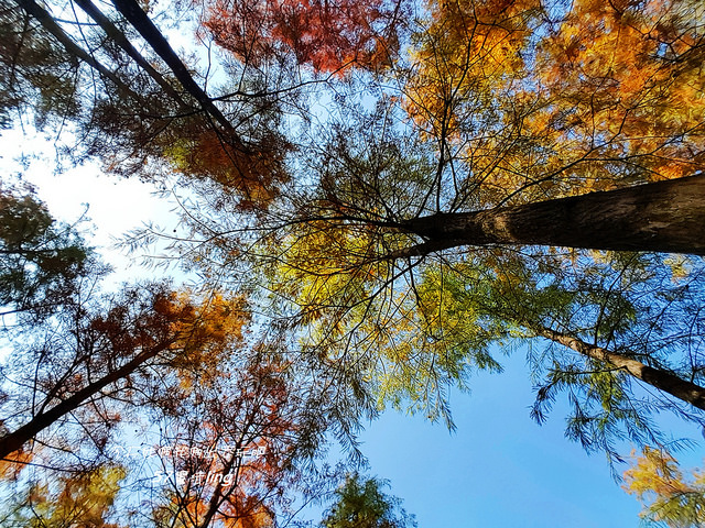 20171224_115956 - 複製