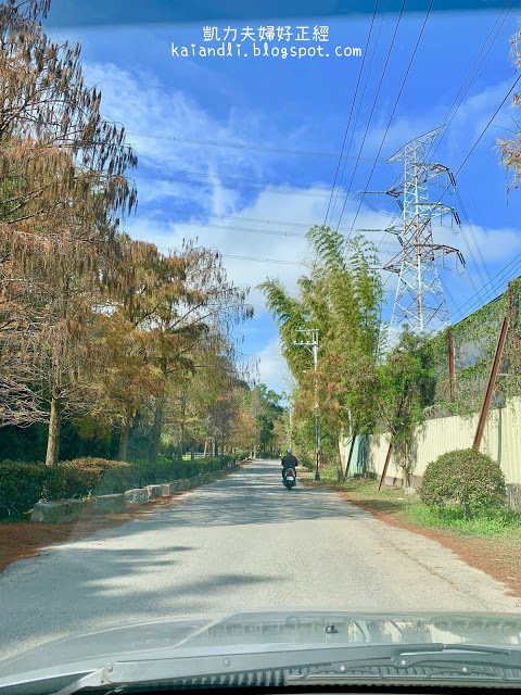 【苗栗輕旅行】落羽松秘境|彷彿來到國外美境,網美拍照打卡熱點。