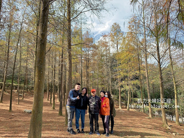 【苗栗輕旅行】落羽松秘境|彷彿來到國外美境,網美拍照打卡熱點。