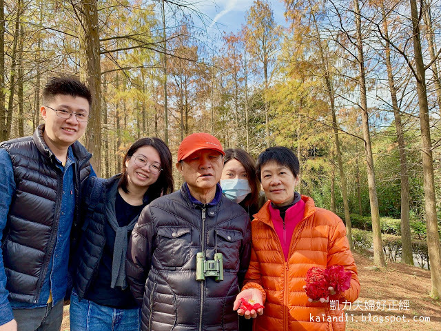【苗栗輕旅行】落羽松秘境|彷彿來到國外美境,網美拍照打卡熱點。