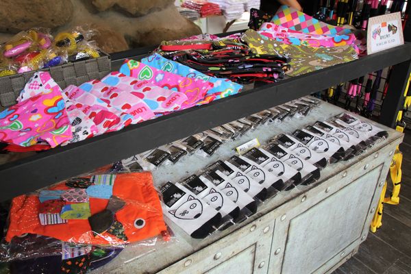 妖怪創界-糖狗村：【南投景點】妖怪創界糖狗村，園區內的舞獅鼓、守護犬神社、盒藍人、達爾文機器人和還未開放的孟婆湯屋及教堂，門票250元的糖狗村護照，可全額不分區抵用