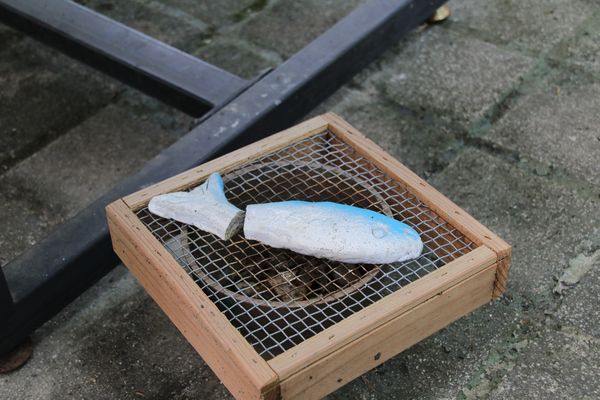 妖怪創界-糖狗村：【南投景點】妖怪創界糖狗村，園區內的舞獅鼓、守護犬神社、盒藍人、達爾文機器人和還未開放的孟婆湯屋及教堂，門票250元的糖狗村護照，可全額不分區抵用