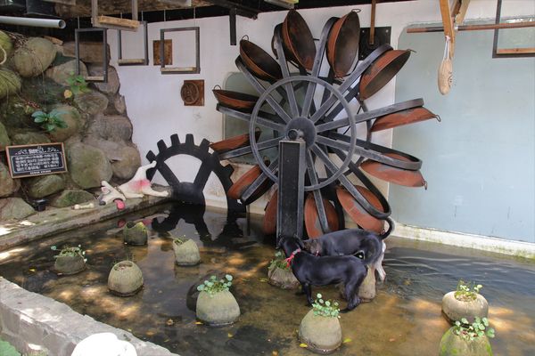 妖怪創界-糖狗村：【南投景點】妖怪創界糖狗村，園區內的舞獅鼓、守護犬神社、盒藍人、達爾文機器人和還未開放的孟婆湯屋及教堂，門票250元的糖狗村護照，可全額不分區抵用