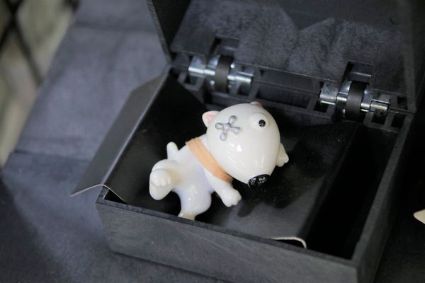 妖怪創界-糖狗村：【南投景點】妖怪創界糖狗村，園區內的舞獅鼓、守護犬神社、盒藍人、達爾文機器人和還未開放的孟婆湯屋及教堂，門票250元的糖狗村護照，可全額不分區抵用