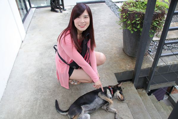 妖怪創界-糖狗村：【南投景點】妖怪創界糖狗村，園區內的舞獅鼓、守護犬神社、盒藍人、達爾文機器人和還未開放的孟婆湯屋及教堂，門票250元的糖狗村護照，可全額不分區抵用