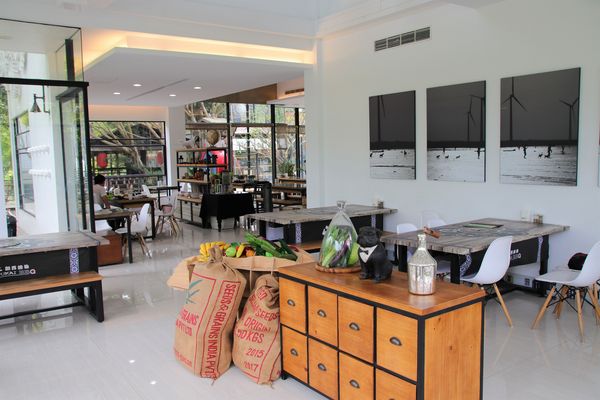 妖怪創界-糖狗村：【南投景點】妖怪創界糖狗村，園區內的舞獅鼓、守護犬神社、盒藍人、達爾文機器人和還未開放的孟婆湯屋及教堂，門票250元的糖狗村護照，可全額不分區抵用