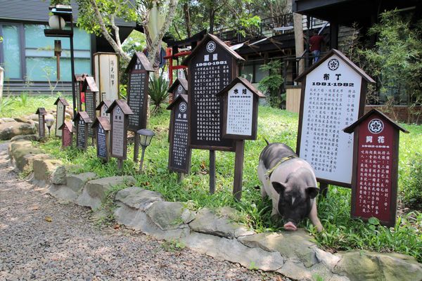 妖怪創界-糖狗村：【南投景點】妖怪創界糖狗村，園區內的舞獅鼓、守護犬神社、盒藍人、達爾文機器人和還未開放的孟婆湯屋及教堂，門票250元的糖狗村護照，可全額不分區抵用