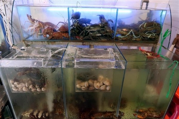 蒸霸王(東湖店):東湖 蒸霸王海鮮塔 現捉現蒸氣火鍋龍蝦牛奶貝龍虎斑 葫洲站可停車還有火鍋海鮮粥~ 蒸霸王(東湖店):東湖 蒸霸王海鮮塔 現捉現蒸氣火鍋龍蝦牛奶貝龍虎斑 葫洲站可停車還有火鍋海鮮粥~