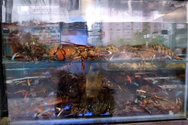 蒸霸王(東湖店):東湖 蒸霸王海鮮塔 現捉現蒸氣火鍋龍蝦牛奶貝龍虎斑 葫洲站可停車還有火鍋海鮮粥~ 蒸霸王(東湖店):東湖 蒸霸王海鮮塔 現捉現蒸氣火鍋龍蝦牛奶貝龍虎斑 葫洲站可停車還有火鍋海鮮粥~