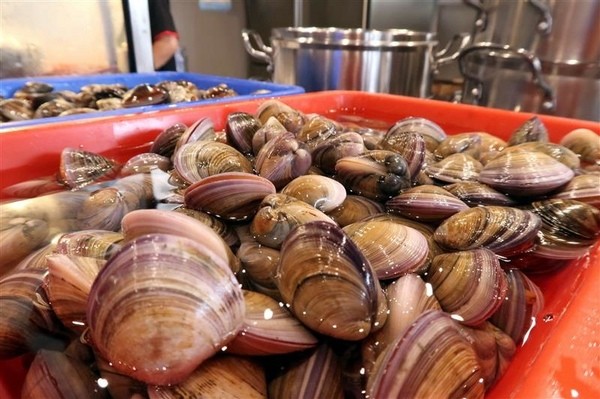 蒸霸王(東湖店):東湖 蒸霸王海鮮塔 現捉現蒸氣火鍋龍蝦牛奶貝龍虎斑 葫洲站可停車還有火鍋海鮮粥~ 蒸霸王(東湖店):東湖 蒸霸王海鮮塔 現捉現蒸氣火鍋龍蝦牛奶貝龍虎斑 葫洲站可停車還有火鍋海鮮粥~