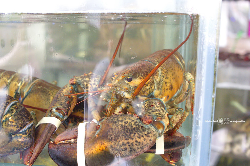 蒸霸王內湖店-薰的美食之旅