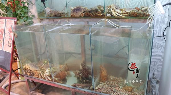 蒸霸王養生蒸氣火鍋(東湖店)：【內湖美食】"蒸"的火鍋『蒸霸王蒸氣海鮮塔』@捷運葫洲站/東湖/有停車場