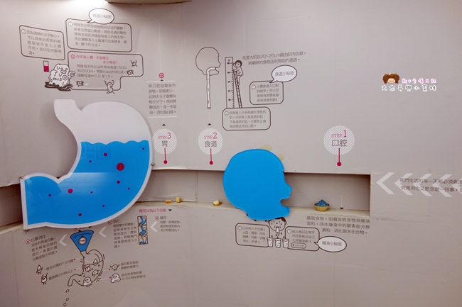 濟生beauty兩岸觀光生醫美學健康館 (37).JPG