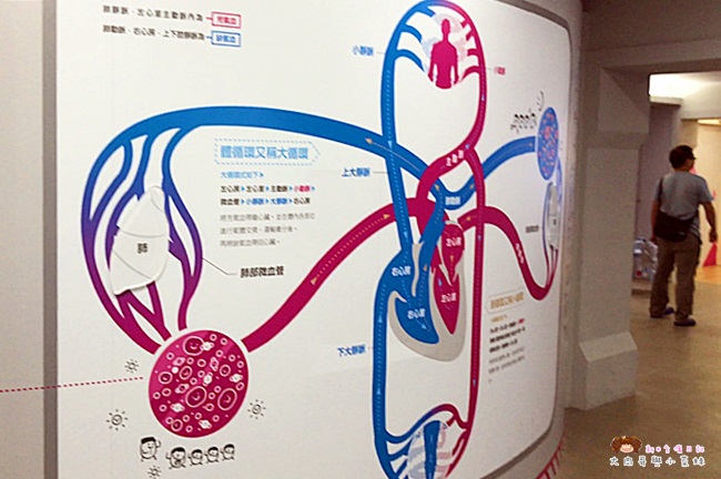 濟生beauty兩岸觀光生醫美學健康館 (26).jpg