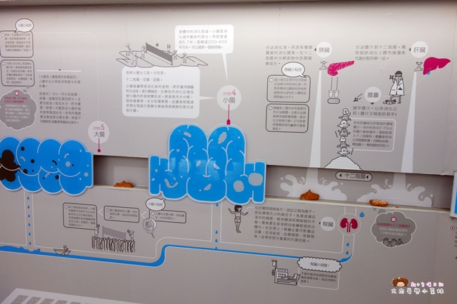 濟生beauty兩岸觀光生醫美學健康館 (35).JPG