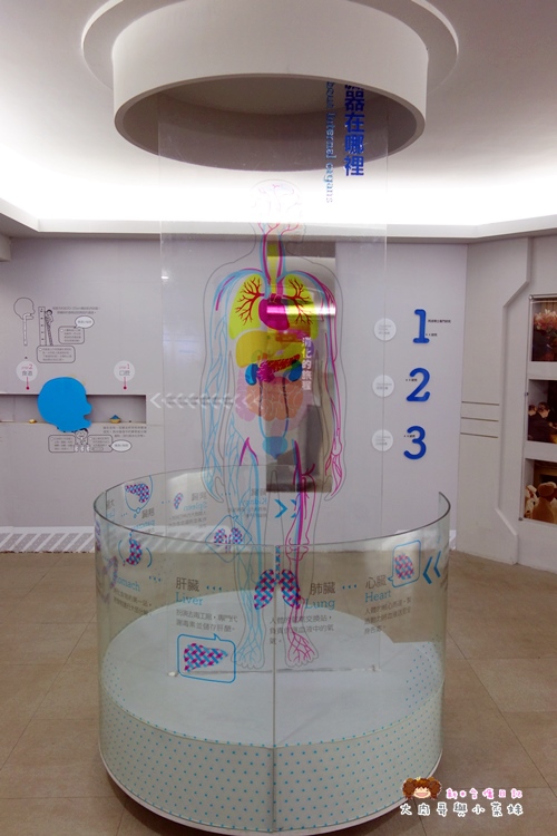 濟生beauty兩岸觀光生醫美學健康館 (38).JPG