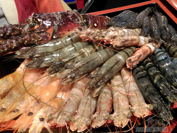 崔官木桶鍋35-有如萬蝦奔騰直撲而來