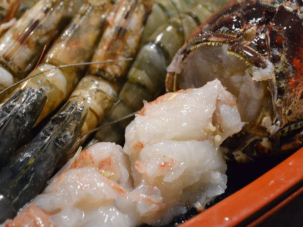 崔官木桶鍋36-野生大龍蝦